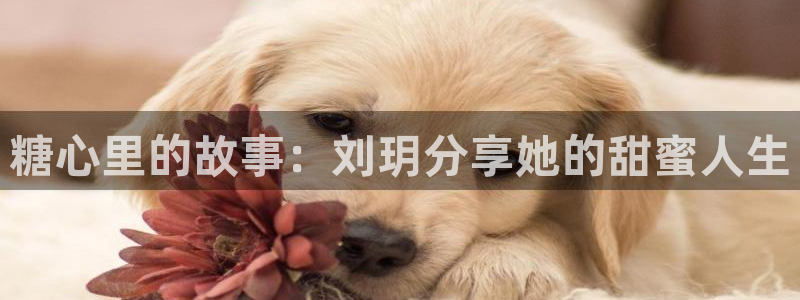 糖心vlog芭芭拉小姐