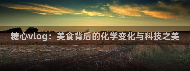 糖心vlog兔全套：糖心vlog：美食背后的化学变化与科技之美