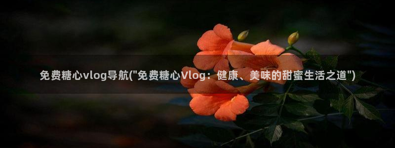 洛丽塔糖心vlog：免费糖心vlog导航(\
