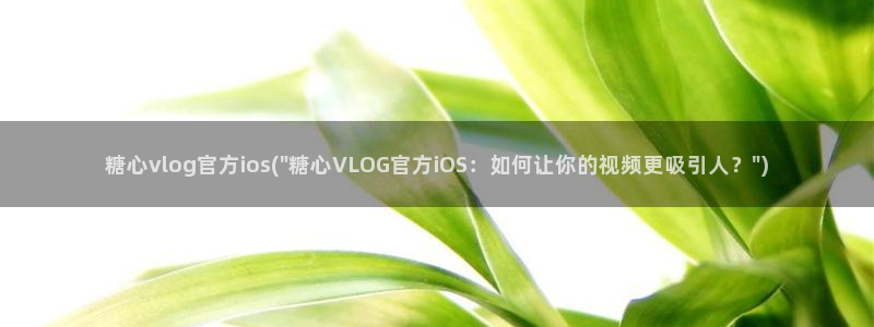 糖心vlog包包