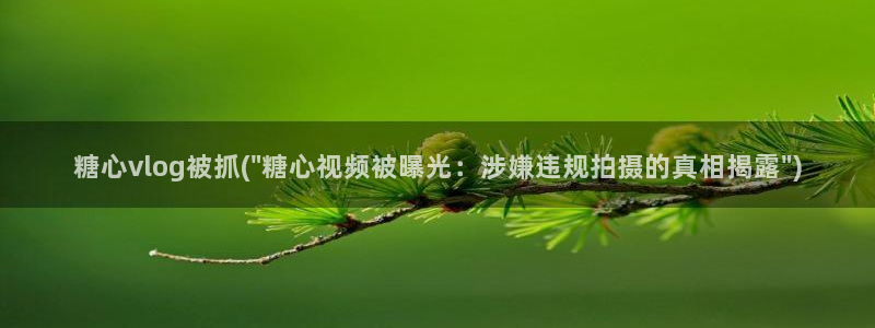 糖心唐伯虎vlog视频