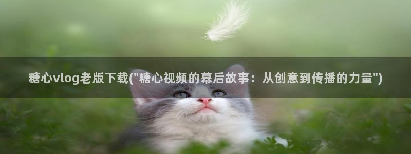 心糖vlog网址：糖心vlog老版下载(\