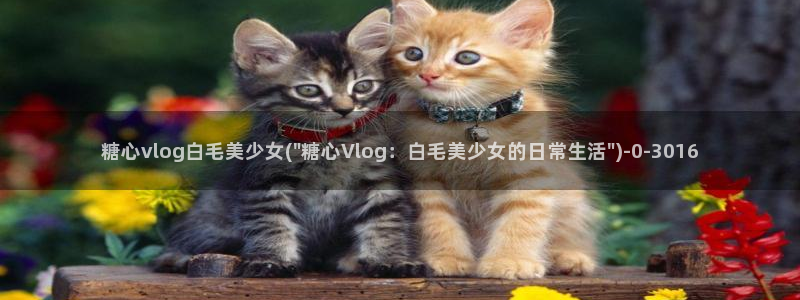 糖心vlog系列产品