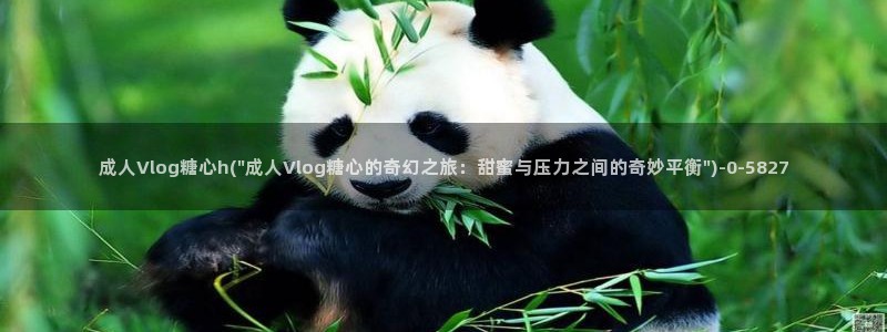 糖心vlog视频博客