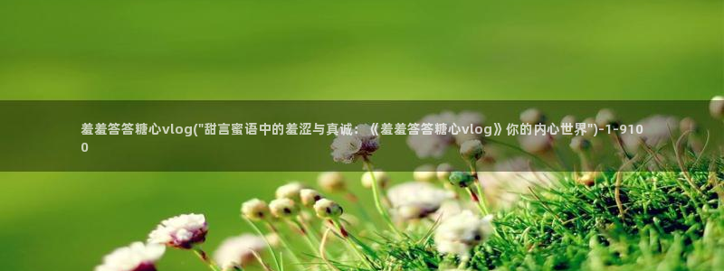 糖心VLOG精彩片段