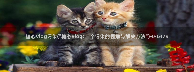 渡己糖心在线vlog：糖心vlog污染(\