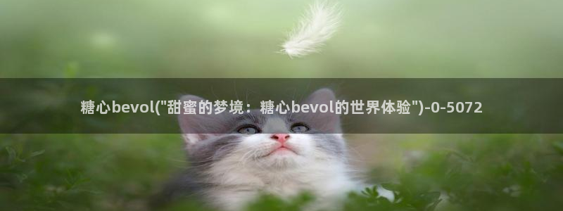 糖心vlog国产入口