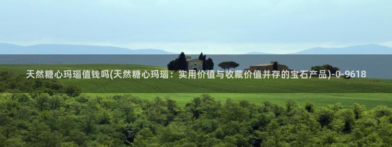 心糖vlog入口