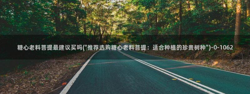 糖心vlog破解板