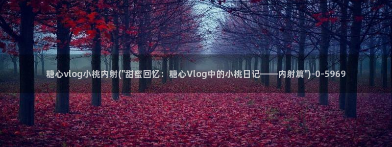 糖 vlog