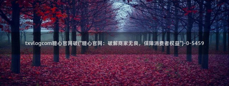 糖心的vlog日常