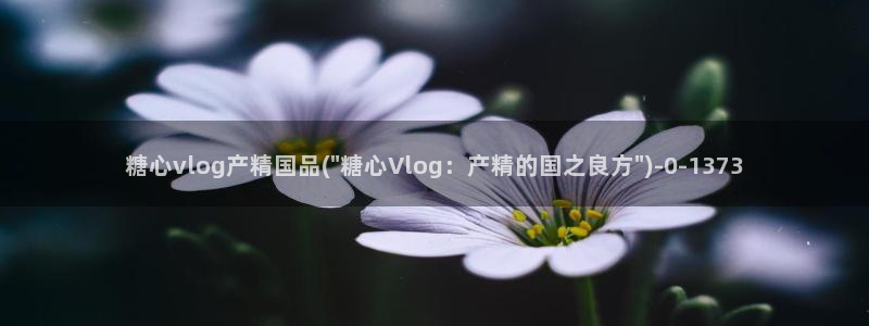 糖心国产传媒vlog