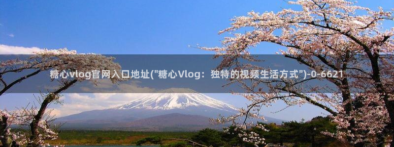 糖心vlog短视频
