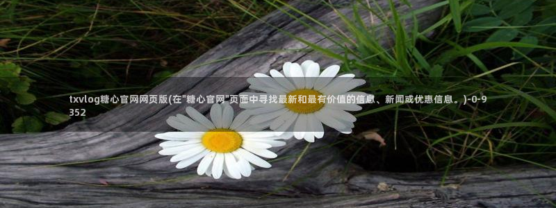 糖心vlog最新网站入口下载