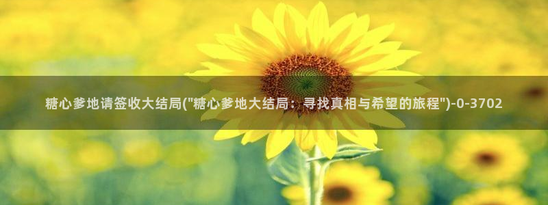 糖心vlog精品