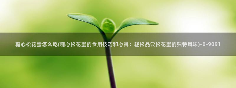 糖心vlog淑怡