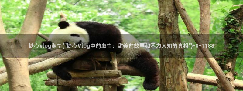 糖心vlog在线免费下载