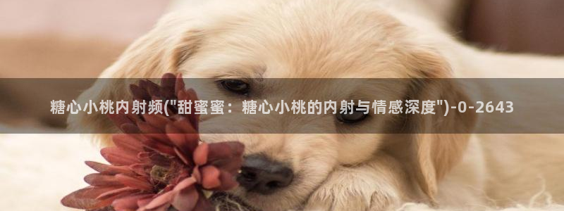 糖心vlog在线免费下载