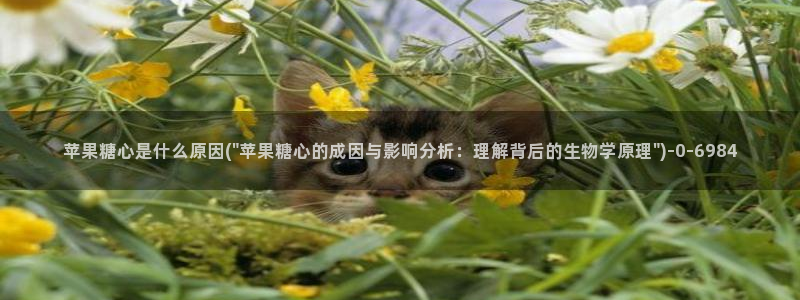 糖心vlog破解版在线