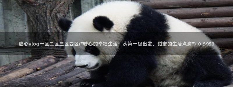 糖心vlog艺人