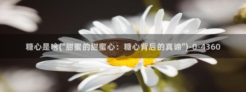 糖心vlog