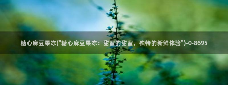 糖心vlog..