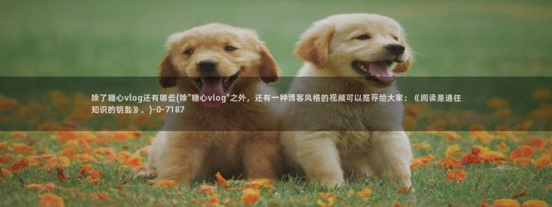 糖心vlog资源