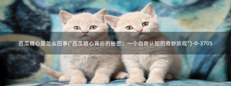 糖心vlog诈骗